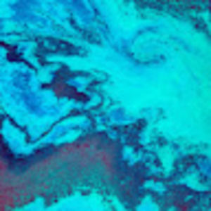 Meet your Posher, Malise